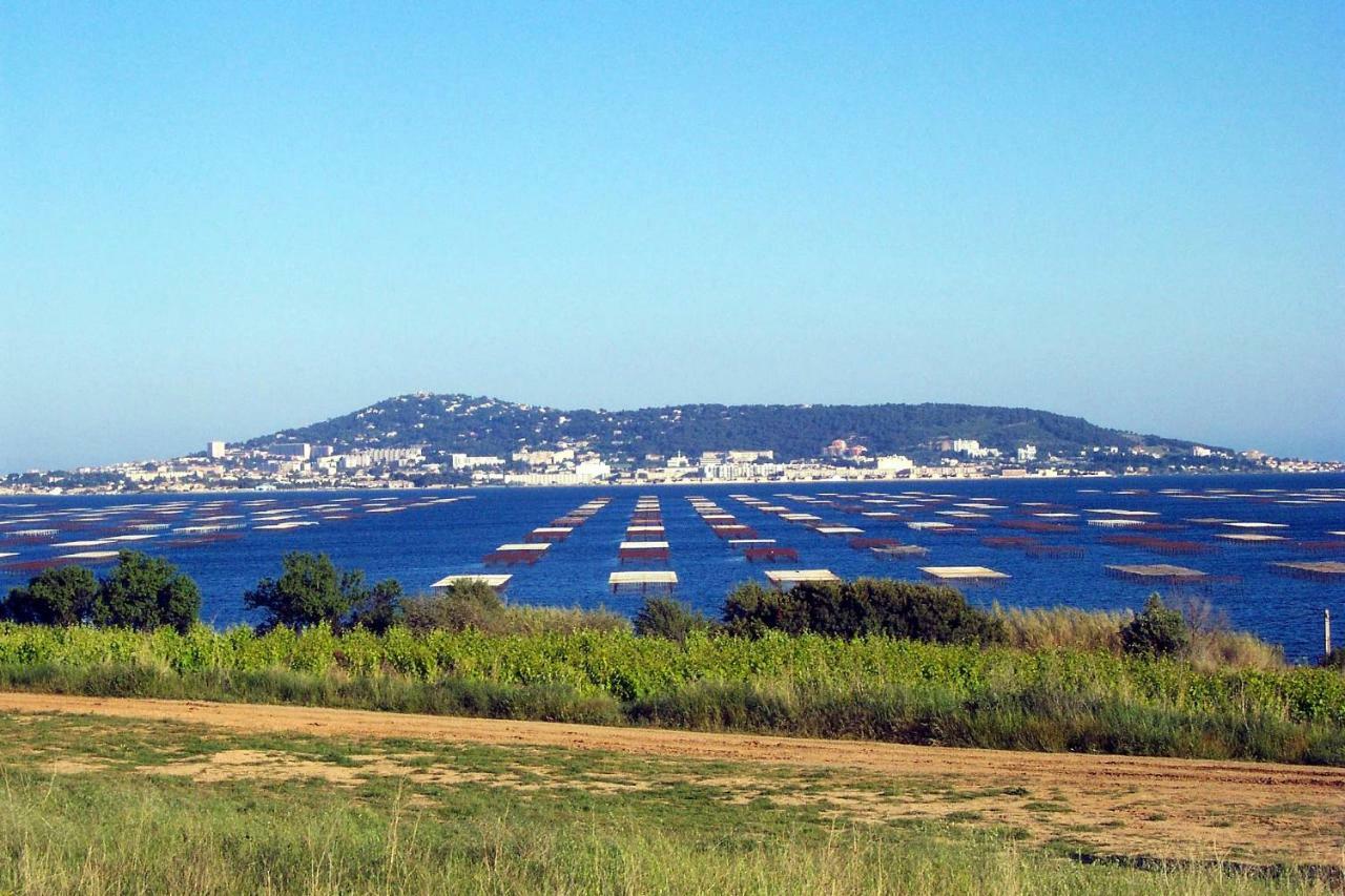 Port Mezua Appartement Mèze Buitenkant foto